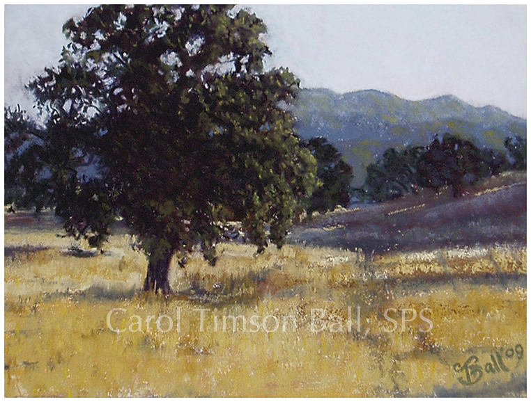 Magnificent Oak